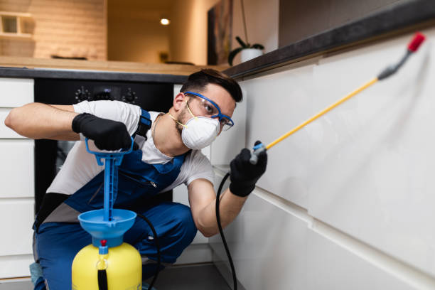 Best Cockroach Control Services  in Chula Vista, CA