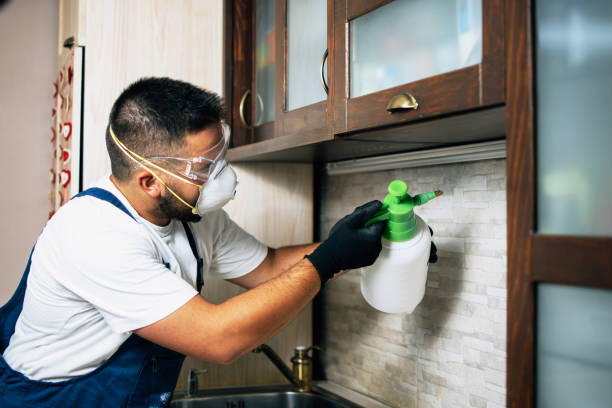 Best Bed Bug Extermination  in Chula Vista, CA