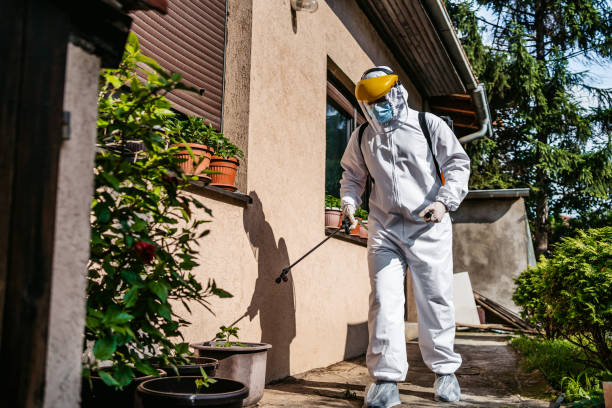 Best Exterminator Services  in Chula Vista, CA