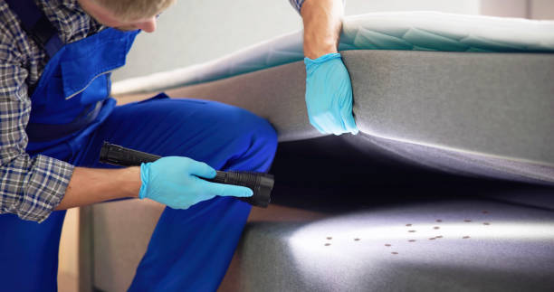 Best Pest Prevention Services  in Chula Vista, CA