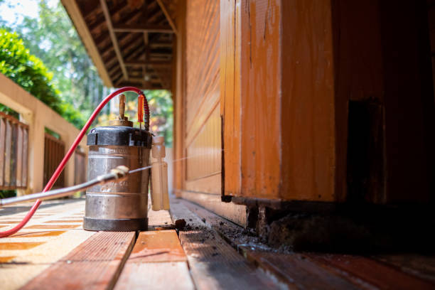 Best Ant Control Services  in Chula Vista, CA